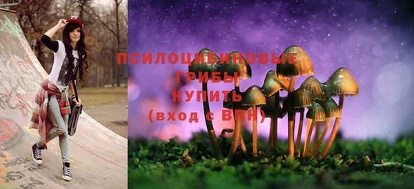 ешки Абинск