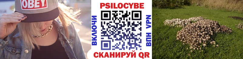 магазин продажи   кракен как войти  Галлюциногенные грибы мухоморы  Правдинск 